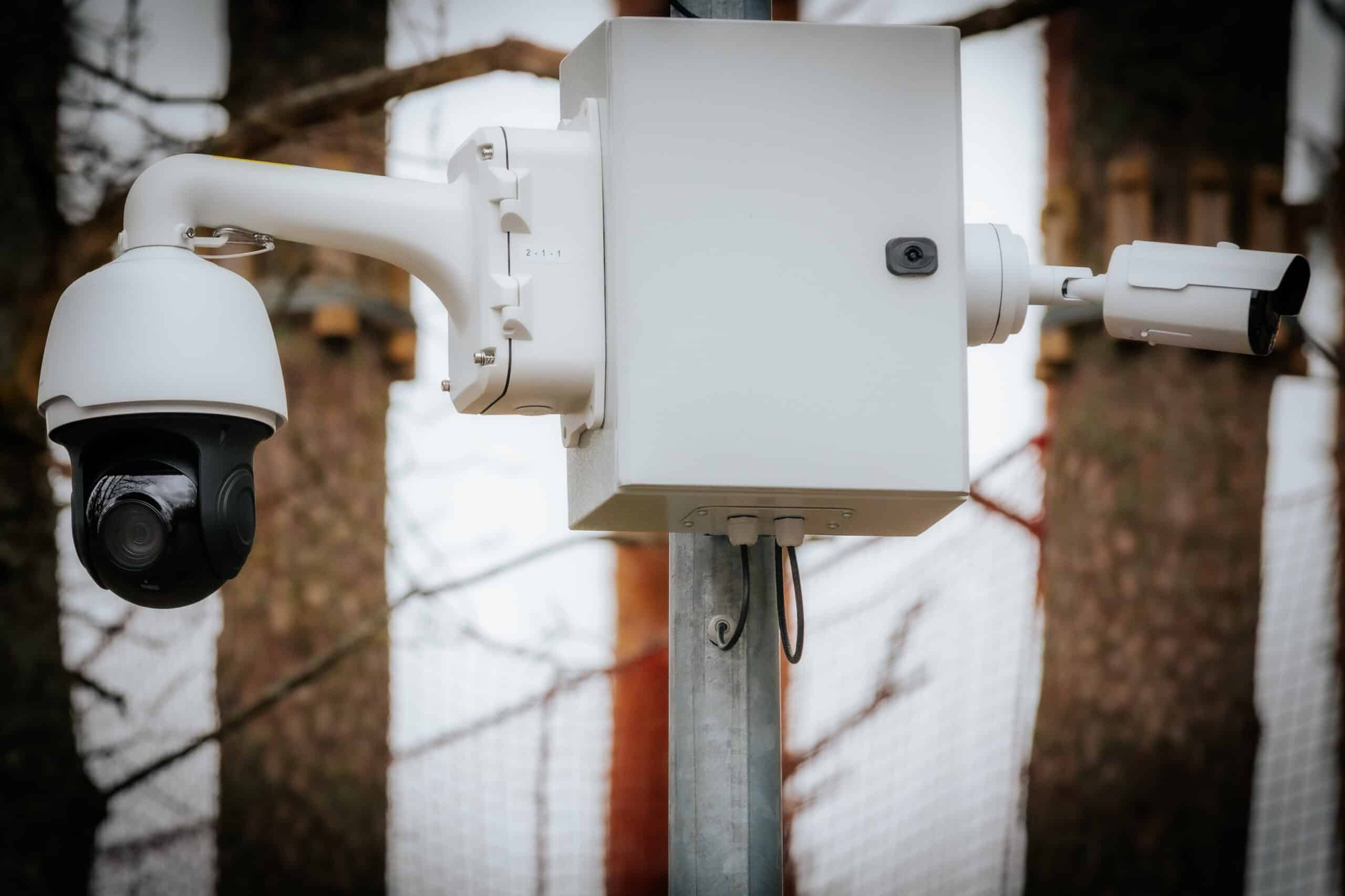 External camera systems yard security